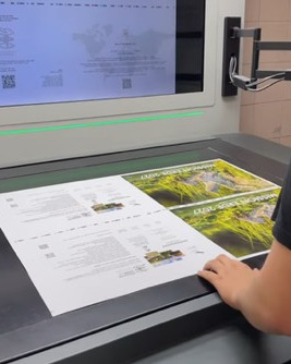 Foglio stampato sul piano di VX Press, pronto per la scansione